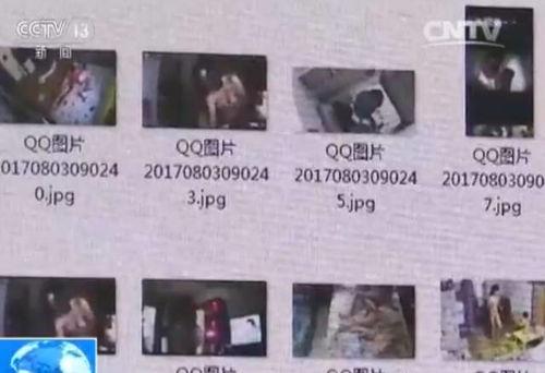 景宁新闻爆料视频最新版,揭秘事件背后真相